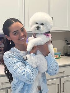 VIP Mobile Grooming Lakewood Ranch photo 17