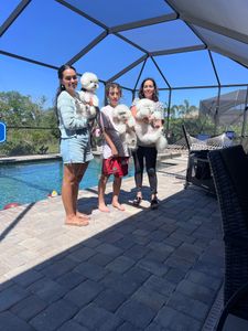 VIP Mobile Grooming Lakewood Ranch photo 18