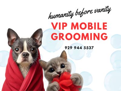 VIP Mobile Grooming Lakewood Ranch photo 25