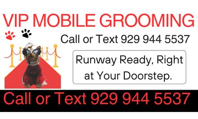 VIP Mobile Grooming Lakewood Ranch photo 27