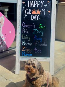 Woof Gang Bakery & Grooming West Bradenton photo 6