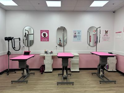 Woof Gang Bakery & Grooming West Bradenton photo 10