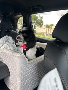 Woof Gang Bakery & Grooming West Bradenton photo 19