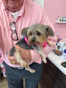 Woof Gang Bakery & Grooming West Bradenton photo 24