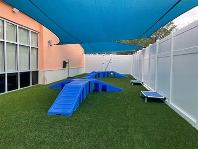 The Woof on Cortez Daycare & Boarding