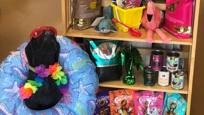 Three Dog Bakery & Grooming (UTC) photo 2