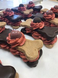 Three Dog Bakery & Grooming (UTC) photo 6