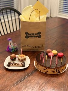 Three Dog Bakery & Grooming (UTC) photo 7