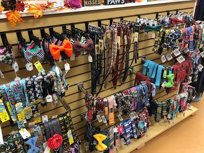 Three Dog Bakery & Grooming (UTC) photo 22