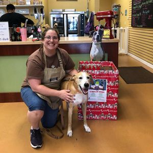 Three Dog Bakery & Grooming (UTC) photo 29