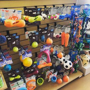 Three Dog Bakery & Grooming (UTC) photo 34