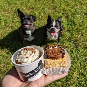 Three Dog Bakery & Grooming (UTC) photo 35