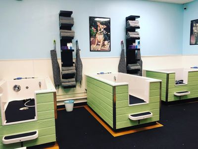 Three Dog Bakery & Grooming (UTC) photo 38