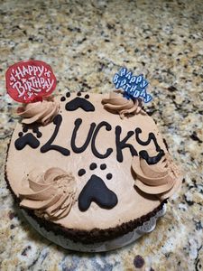 Three Dog Bakery & Grooming (UTC) photo 44