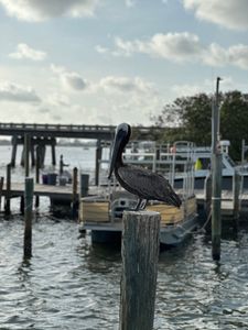 Tide Tables Restaurant and Marina photo 19