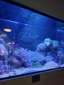 Slicker’s Eatery photo 39