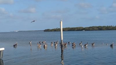 Cortez Kitchen photo 43