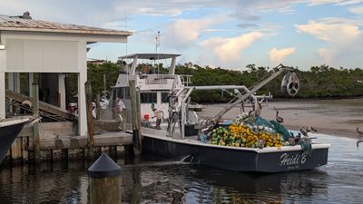 Swordfish Grill photo 15