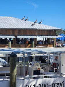 Swordfish Grill photo 19