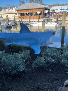 Swordfish Grill photo 32