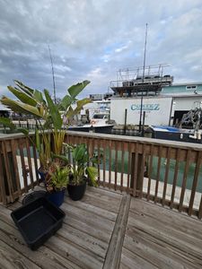 Swordfish Grill photo 34