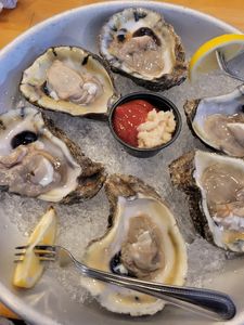 Anna Maria Oyster Bar – Cortez photo 43