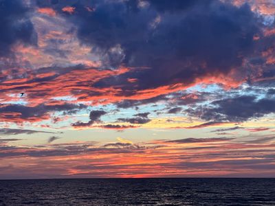 Beach House Waterfront Restaurant photo 44