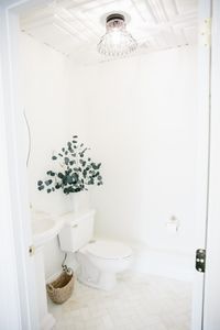 Pure Skincare by Elizabeth photo 10