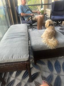 Custom Sewing by Luisa photo 35