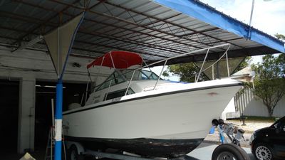 Headliner Express / Manatee Auto & Marine Upholstery