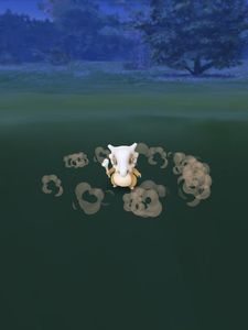 Headliner Express / Manatee Auto & Marine Upholstery photo 29