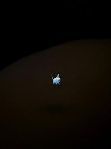 Headliner Express / Manatee Auto & Marine Upholstery photo 32