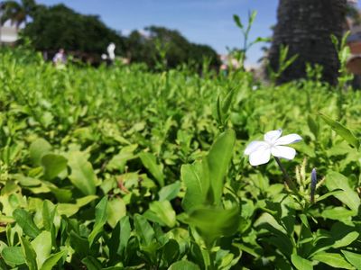 West Marine photo 32