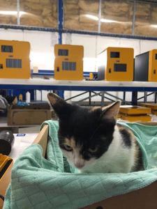 GENERAL BYTES USA LLC photo 18