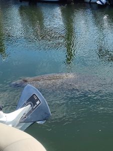 Innovation Marina photo 2