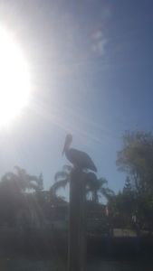 Tracker Boating Center photo 9