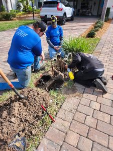 Accurate Backflow & Plumbing photo 44