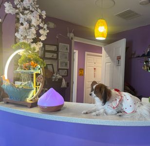 NY Foot & Body Spa photo 10