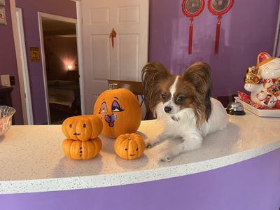 NY Foot & Body Spa photo 34