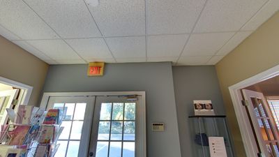 Essentials Massage & Facial of Bradenton photo 47