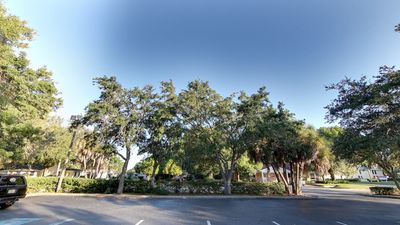 Essentials Massage & Facial of Bradenton photo 49