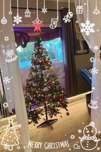 Massage Trail photo 39