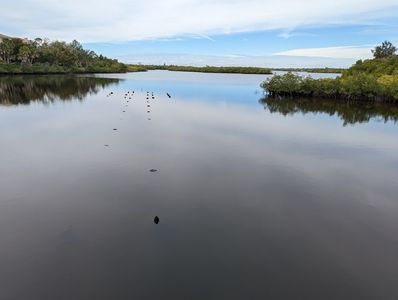 Waterlefe Marina Club photo 2