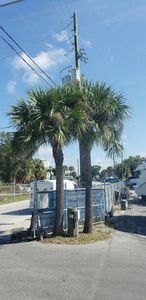 Pitman Yacht Services photo 46