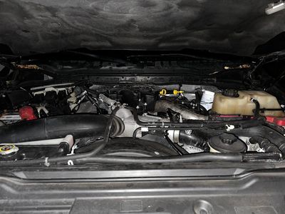 Daniel Son’s Detailing photo 28