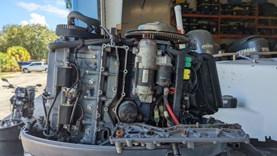 Florida 4 Stroke Outboards photo 6