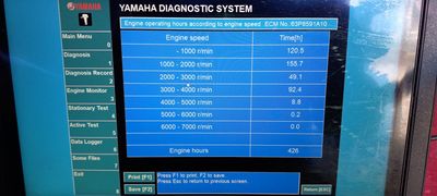 Florida 4 Stroke Outboards photo 23