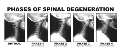 Tarpon Total Health Care photo 33