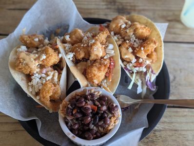 Tarpon Turtle Waterfront Grill & Marina photo 16