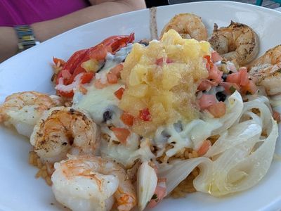 Tarpon Turtle Waterfront Grill & Marina photo 30